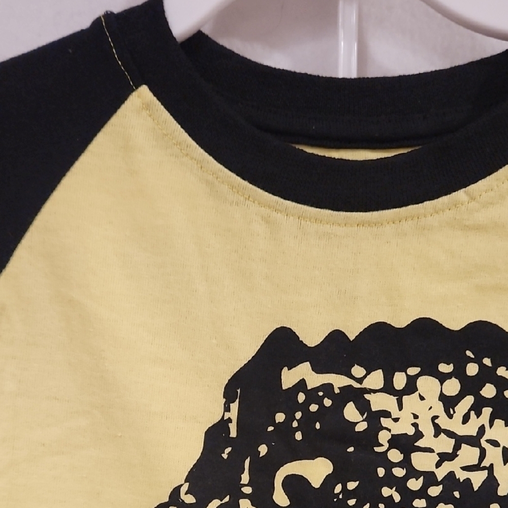 Kids 2pc. Dinosaur Graphic Matching Set - Yellow and Black - Picture 4 of 8
